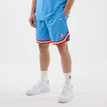 New York Yankees MLB Arch Pastel Blue Oversized Shorts-kentox