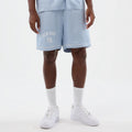 New York Yankees MLB Woven Pastel Blue Shorts-kentox